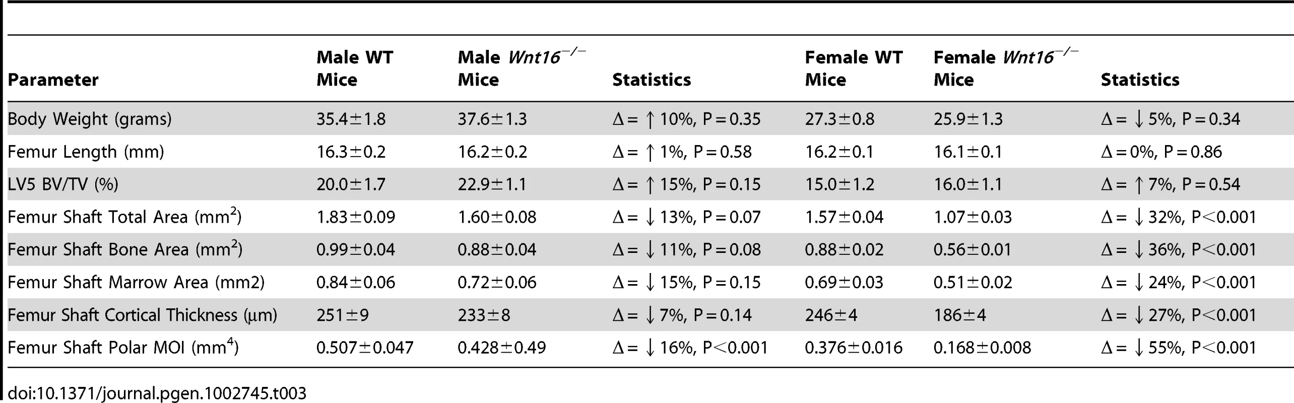 Body weight, femoral length, and MicroCT data in &lt;i&gt;Wnt16&lt;sup&gt;−/−&lt;/sup&gt;&lt;/i&gt; mice, males (WT = 9; &lt;i&gt;Wnt16&lt;sup&gt;−/−&lt;/sup&gt;&lt;/i&gt; = 11) and females (WT = 24, &lt;i&gt;Wnt16&lt;sup&gt;−/−&lt;/sup&gt;&lt;/i&gt; = 16).