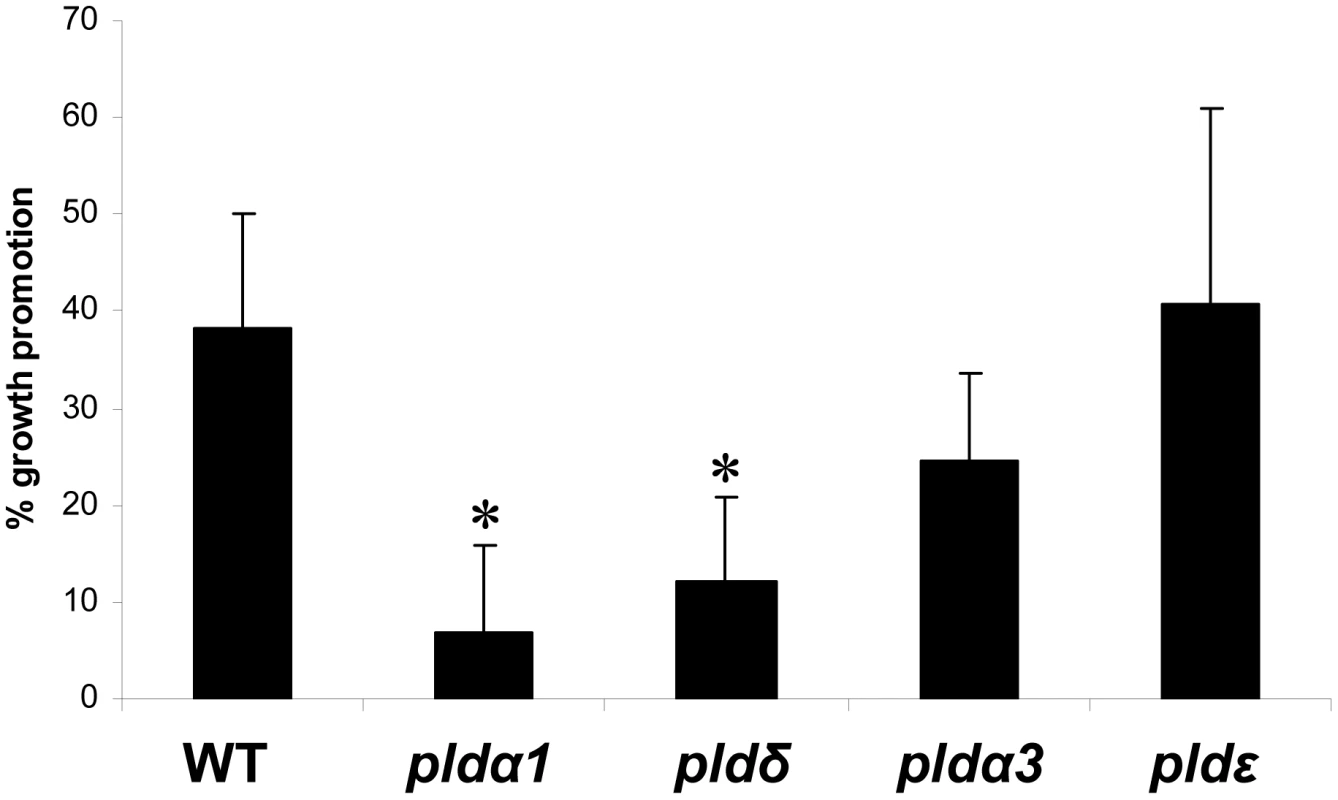 <i>P. indica</i>-induced increases in fresh weight (%) of wild-type and <i>pld</i> mutants.
