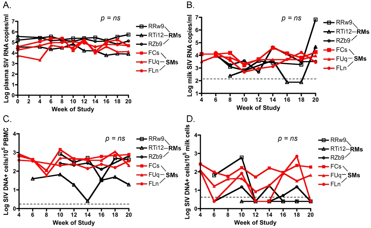 Similar cell-free and cell-associated SIV levels in blood and milk from RMs and SMs following pharmacologic induction of lactation.
