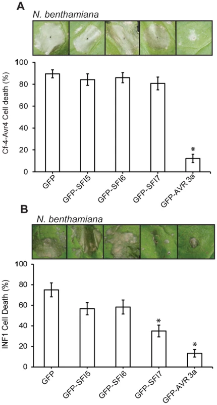 Effect of GFP-SFI5, GFP-SFI6 and GFP-SFI7 on PCD triggered by INF1 or by co-expression of Cf-4 with <i>Cladosporium fulvum</i> Avr4.