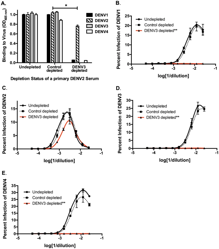 Removal of cross-reactive antibodies from primary DENV2-immune sera, eliminates enhancement of heterotypic DENV infection <i>in vitro</i>.