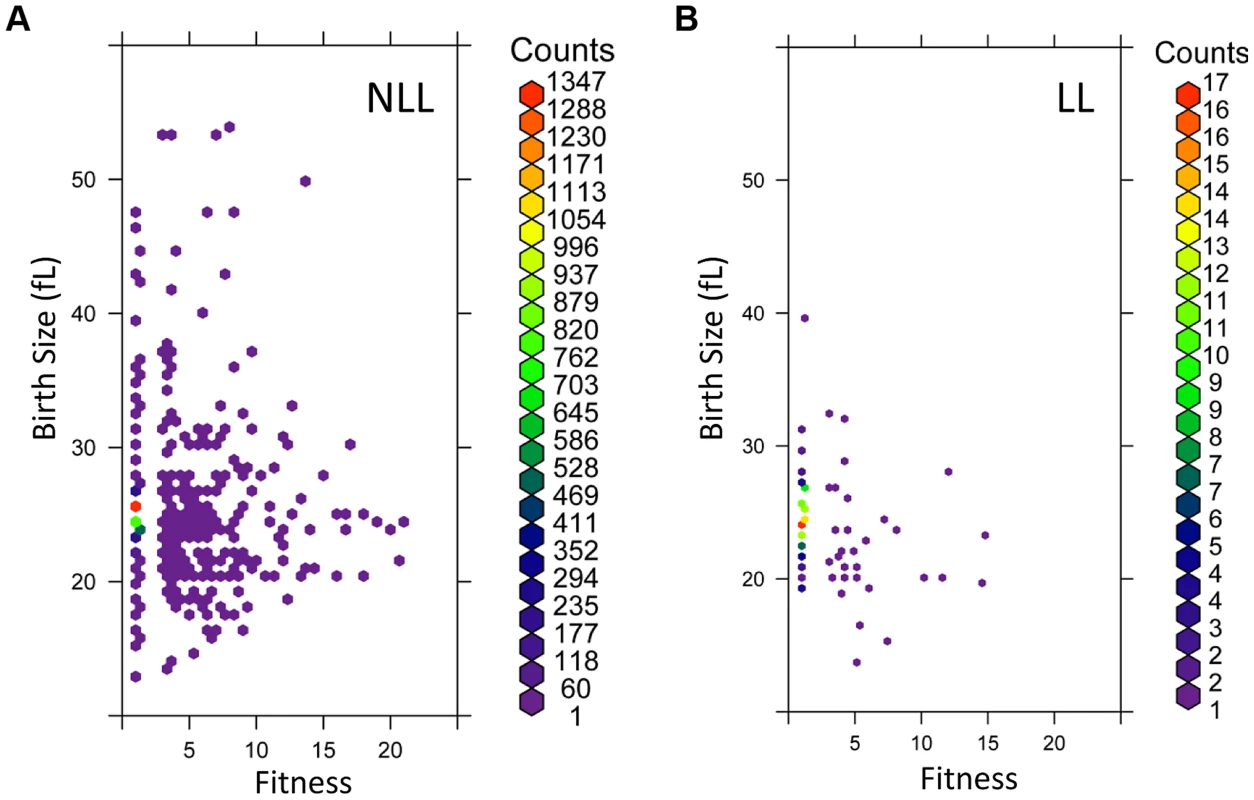 LL mutant birth size and fitness are more constrained than those of NLL mutants.