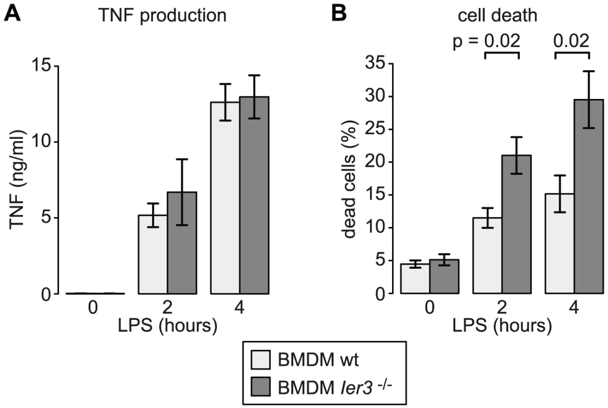 Effect of <i>Ier3</i> knockout on TNF production and survival of LPS-stimulated BMDM.