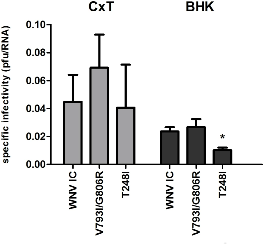 Specific infectivity of WNV replication complex mutants.