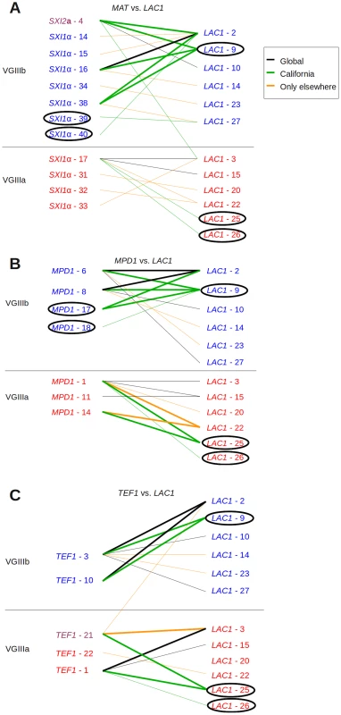 Evidence for recombination in Californian VGIII isolates.