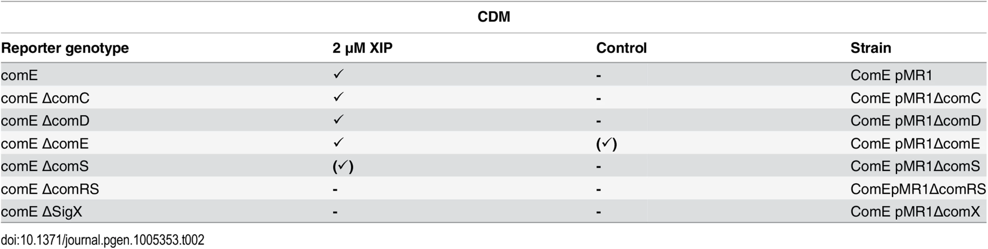 Expression of <i>comE</i> in different gene deletion background in CDM under XIP induced conditions.