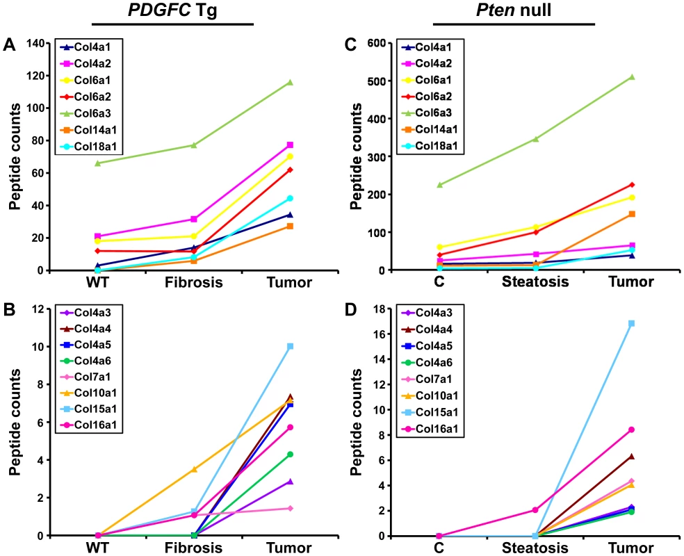 Collagen proteins up-regulated in <i>PDGFC</i> Tg and <i>Pten</i> null tumors.
