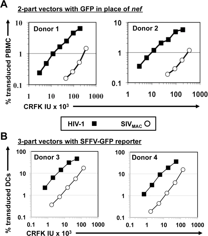 SIV<sub>MAC</sub> transduction of human peripheral blood mononuclear cells or of monocyte derived dendritic cells is less efficient than by HIV-1.