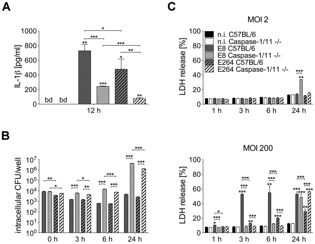 Course of cell death differs in caspase-1/11-deficient and wild-type macrophages infected with <i>Burkholderia</i>.