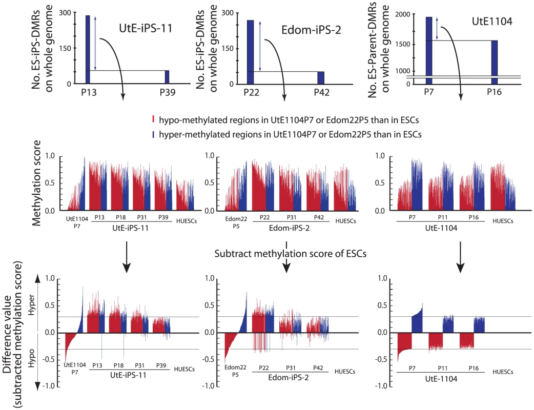 Hyper-methylation in the ES-iPS-DMRs and ES-parent-DMRs.
