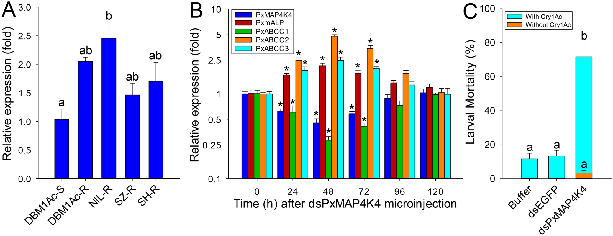 Detection of <i>PxMAP4K4</i> gene expression and effect of its silencing on expression of <i>PxmALP</i> and PxABCC genes and susceptibility to Cry1Ac.