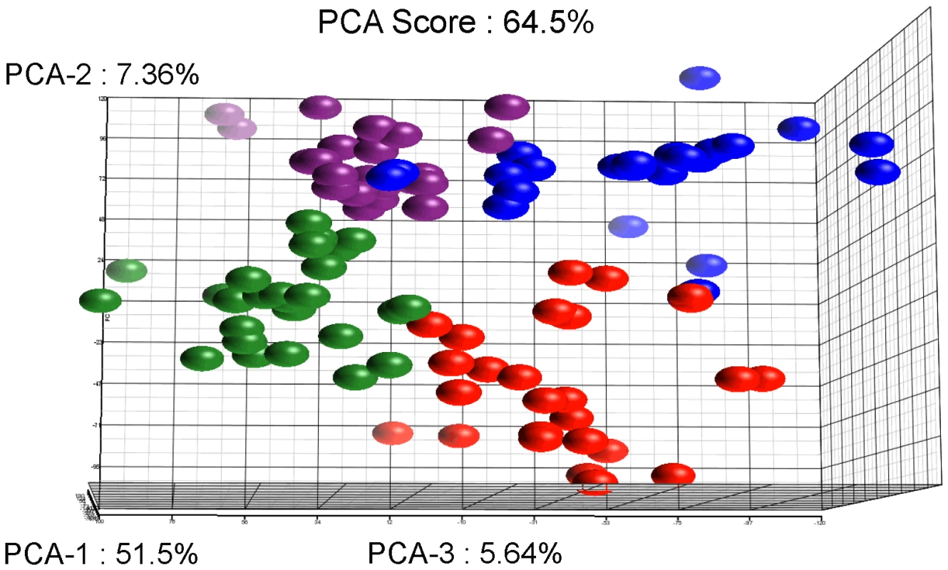Results of the Principal Component Analysis.