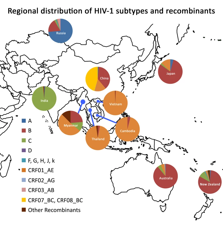 Regional distribution of HIV-1 subtypes and recombinants.