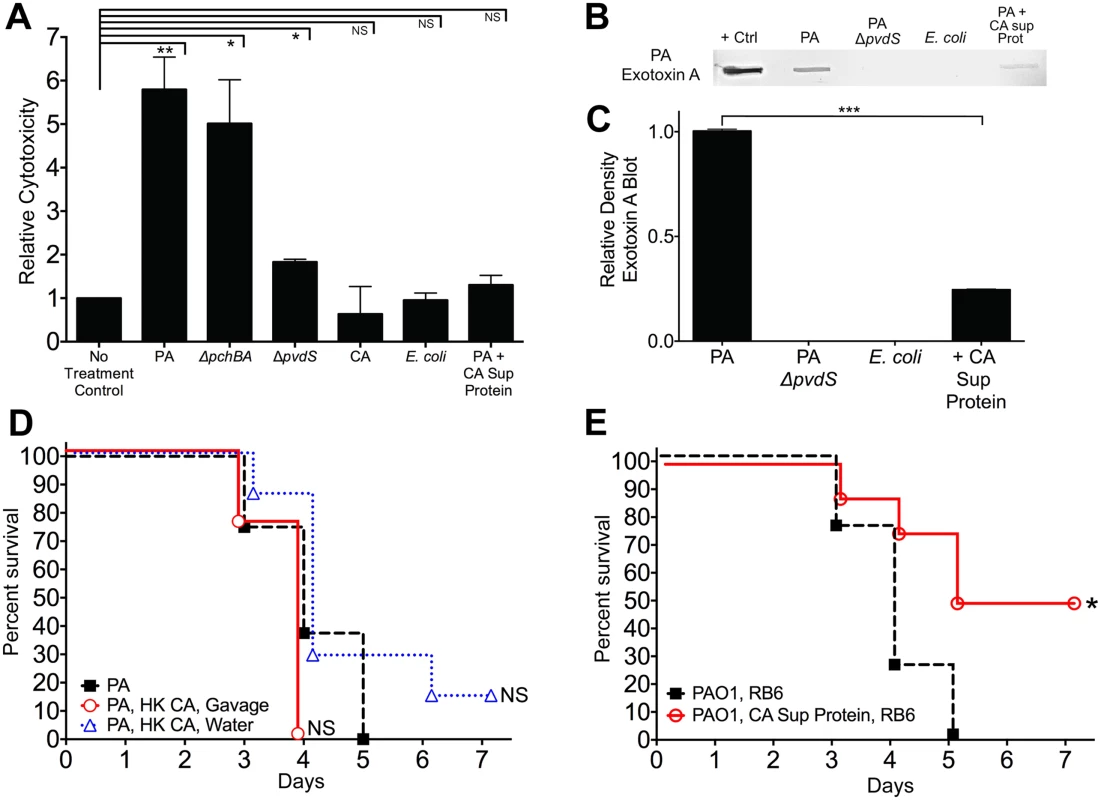 <i>C</i>. <i>albicans</i> secreted factors inhibit <i>P</i>. <i>aeruginosa</i> mediated cytotoxicity <i>in vitro</i>.