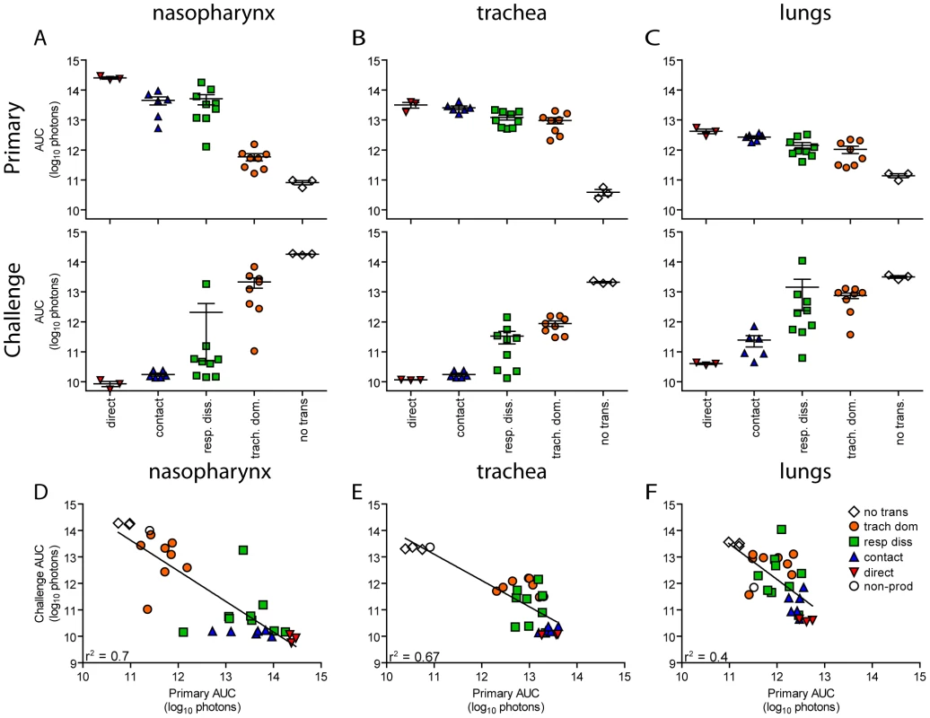 Tissue-specific magnitude of Sendai virus infection in the respiratory tracts of living mice after direct inoculation and transmission.