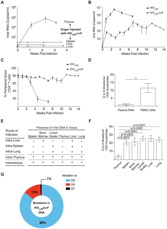 Sustained Vif-independent replication of CXCR4 tropic HIV-1.