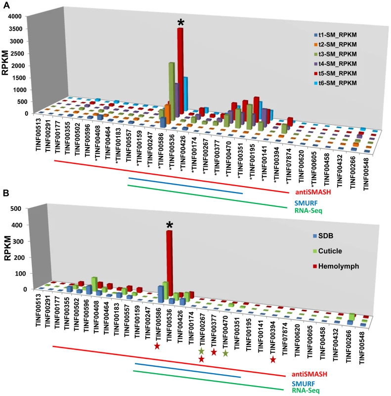 Expression profiling of genes in the <i>simA</i> cluster in relation to insect pathogenesis.