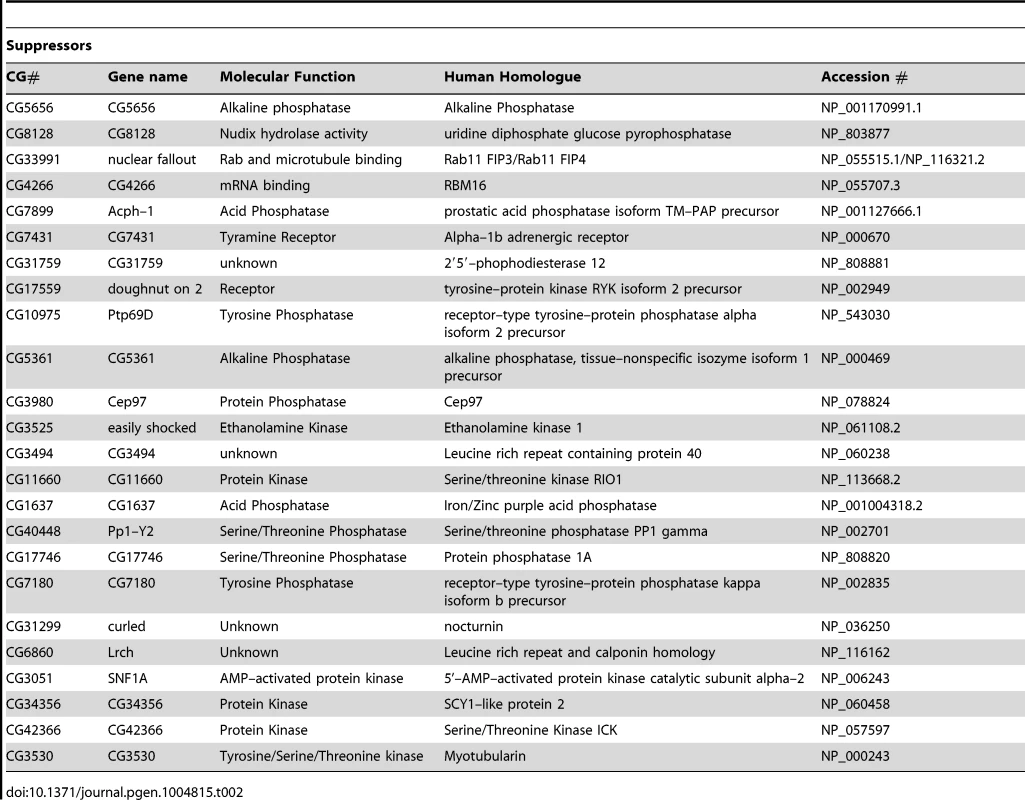 List of genes that suppress &lt;i&gt;pink1&lt;/i&gt; dsRNA induced mitochondrial fusion.