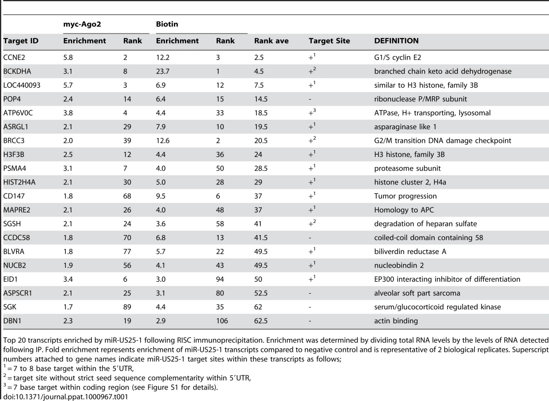 Top 20 ranked cellular targets of miR-US25-1.