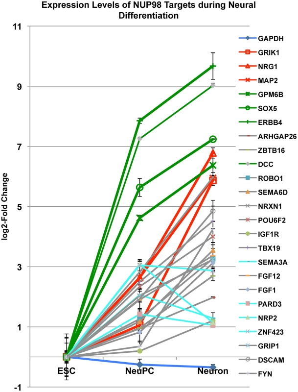 Expression level changes of NUP98 target genes during neural differentiation.
