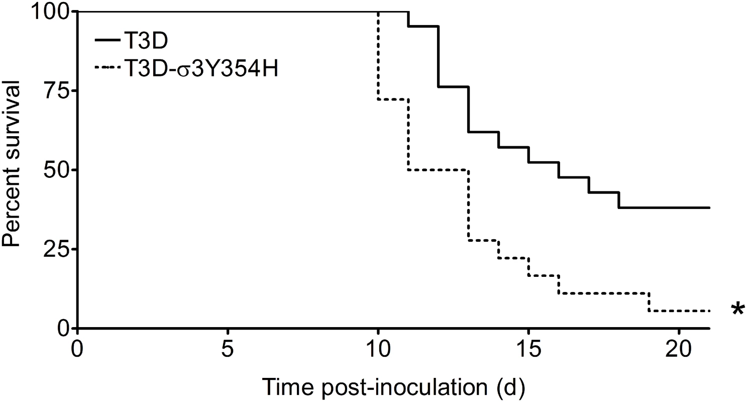 The σ3-Y354H mutation enhances reovirus virulence following intramuscular inoculation.