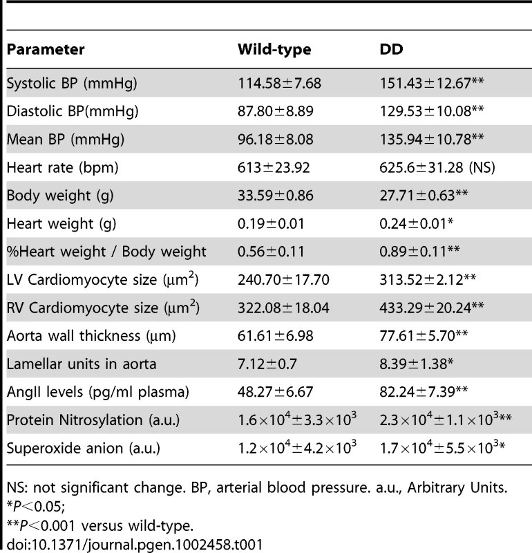 Cardiovascular parameters of 16-week-old wild-type and DD mutant mice.