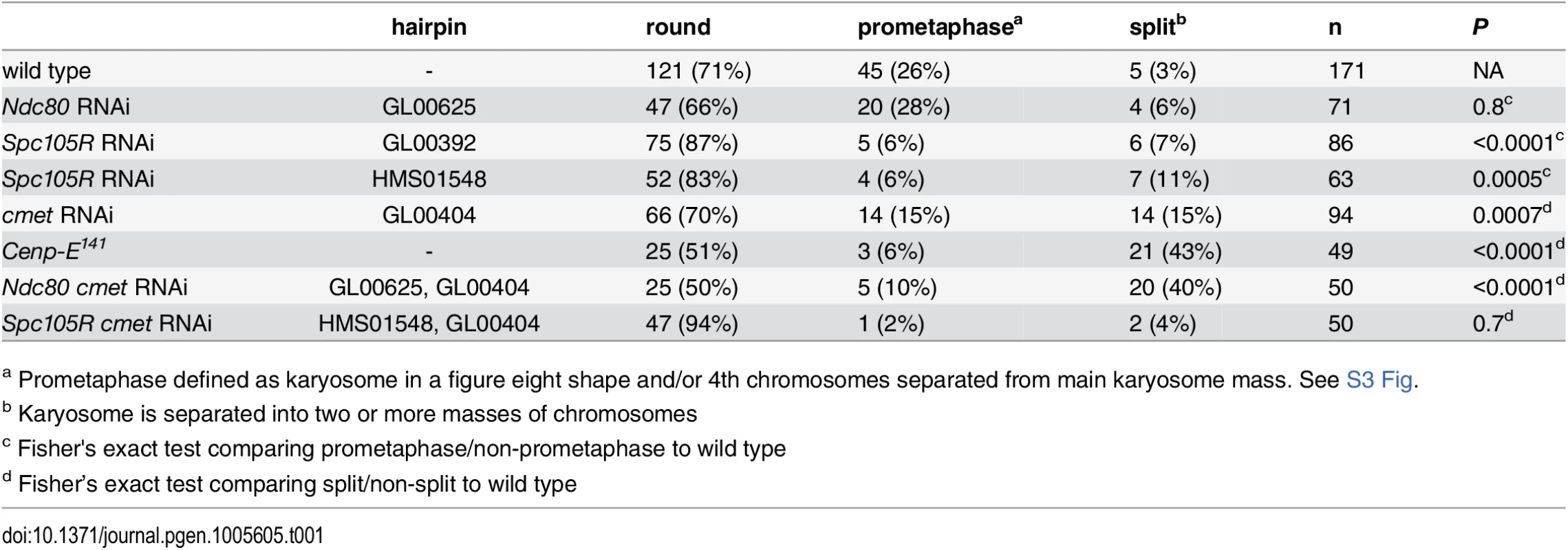 Prometaphase karyosome configurations in the absence of kinetochore components.