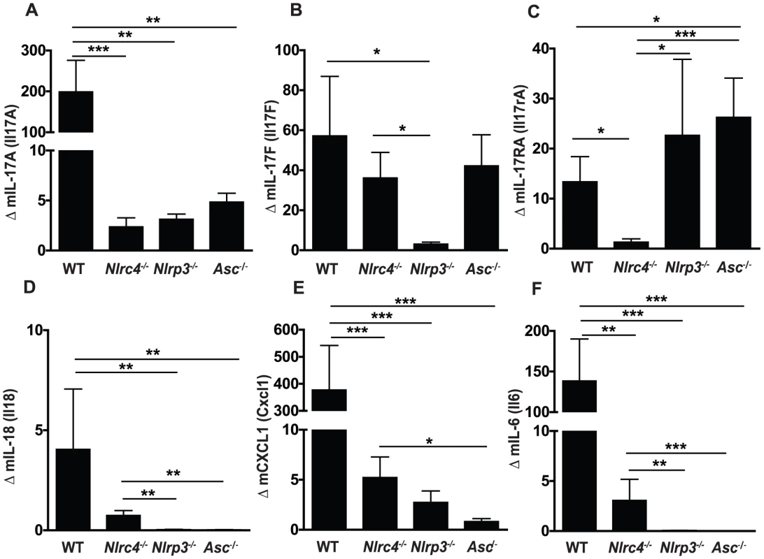 Inflammasome dependence of inflammatory cytokine responses in the oral mucosa following <i>Candida</i> infection.