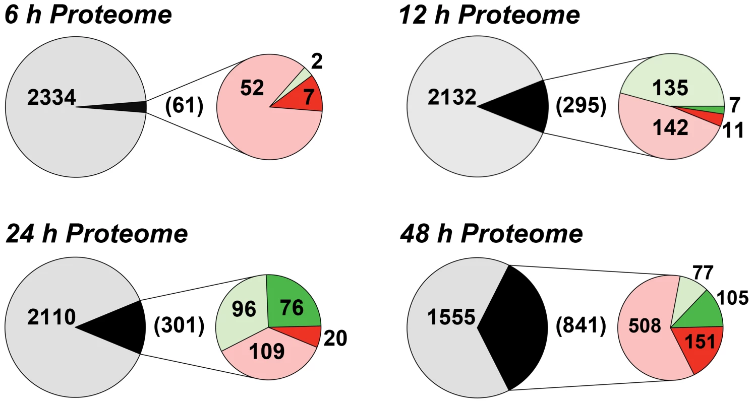 Summary of the proteome changes accompanying purine starvation.