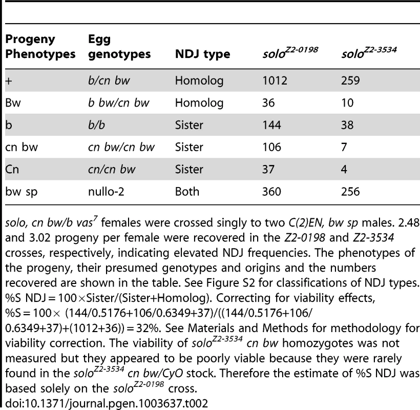 Sister chromatid versus homolog NDJ for chromosome 2 in <i>solo</i> females.