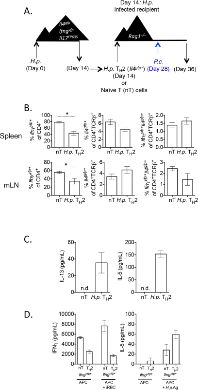 <i>H</i>. <i>polygyrus</i>-induced Th2 cells retain capacity to produce IFNγ during co-infection.