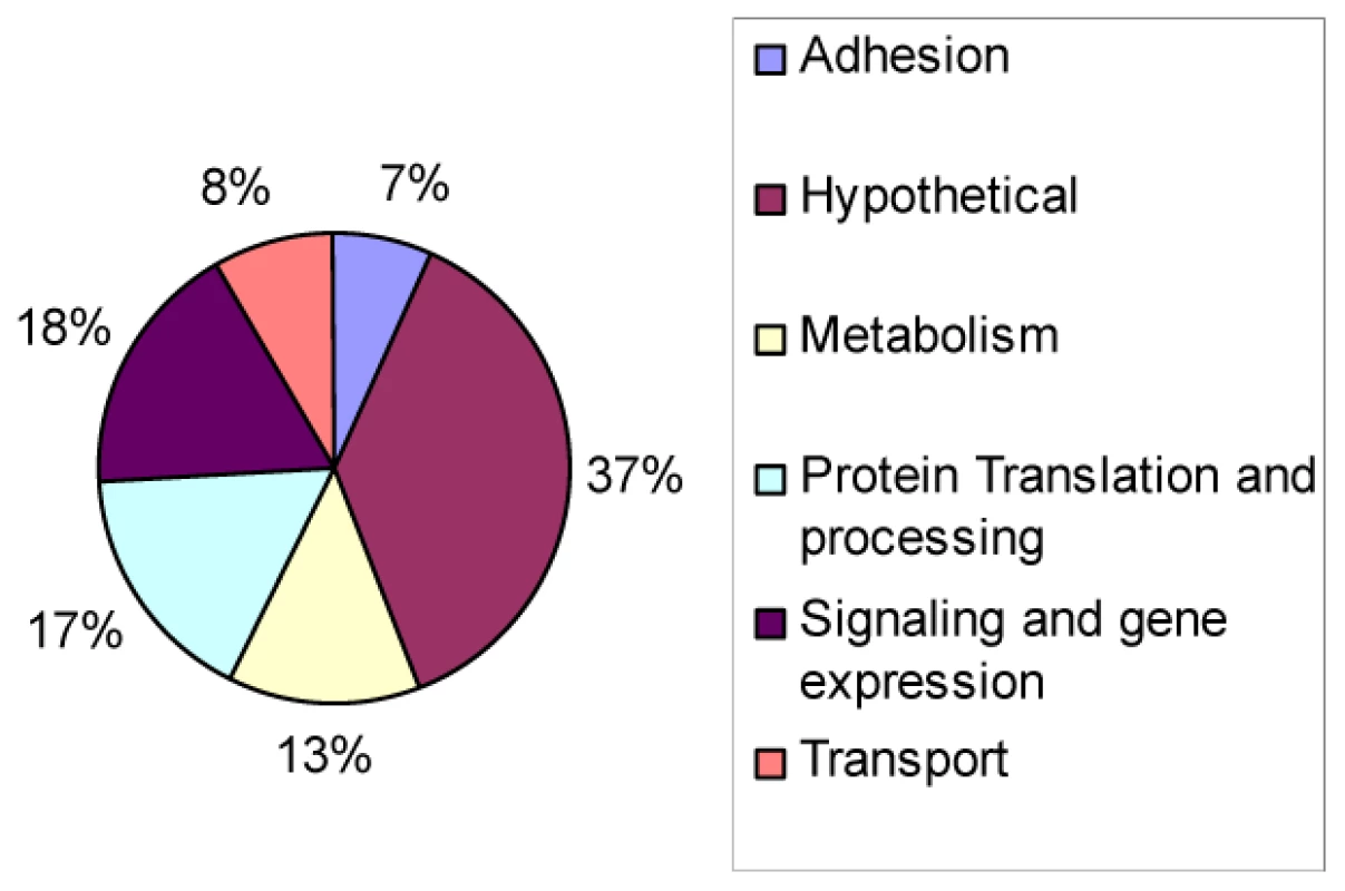 Types of genes modulated by TgGCN5-A during alkaline stress.