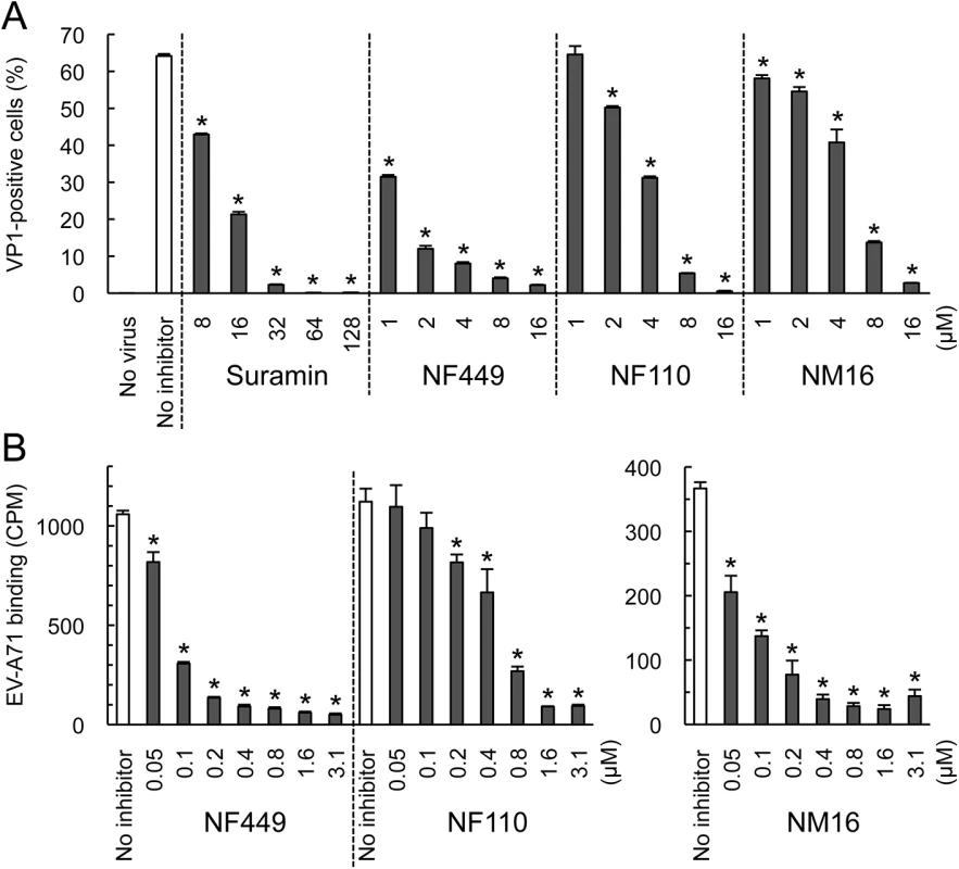 NF449, NF110, and NM16 inhibit interaction with RD cells of a PSGL-1-nonbinding EV-A71 isolate.