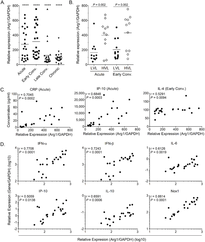 Arg1 is significantly induced in PBMCs collected from CHIKV-infected patients and expression correlates with viral load.