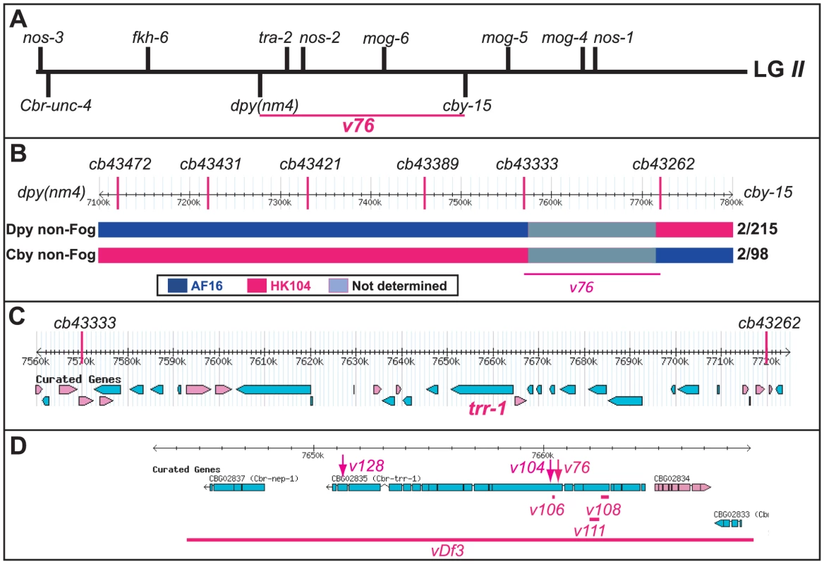 Cloning the <i>C. briggsae</i> Fog gene <i>trr-1</i> by SNP mapping.