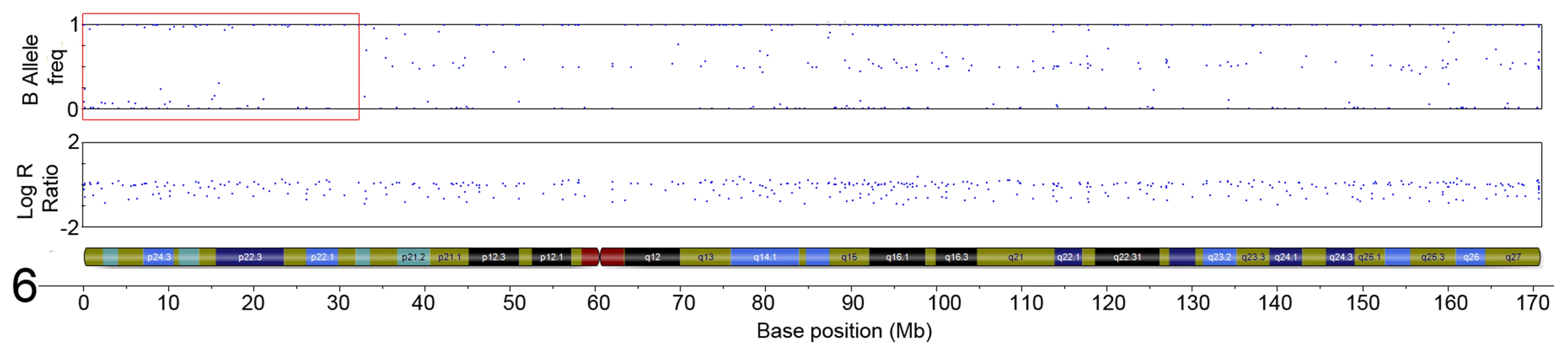 Region of CN-LoH in Chromosome 6 in sample SA2 (specific area illustrated by red box).