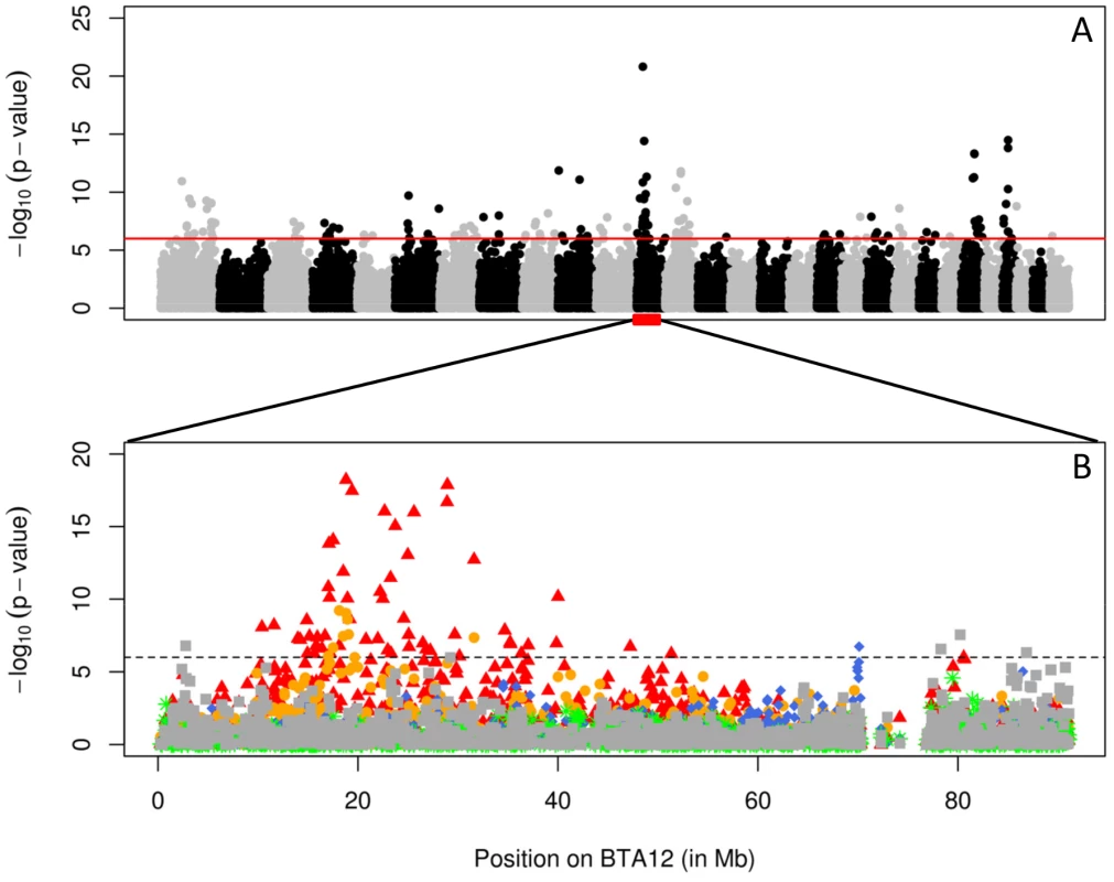 Association scan of the bovine genome for QTL influencing fertility.