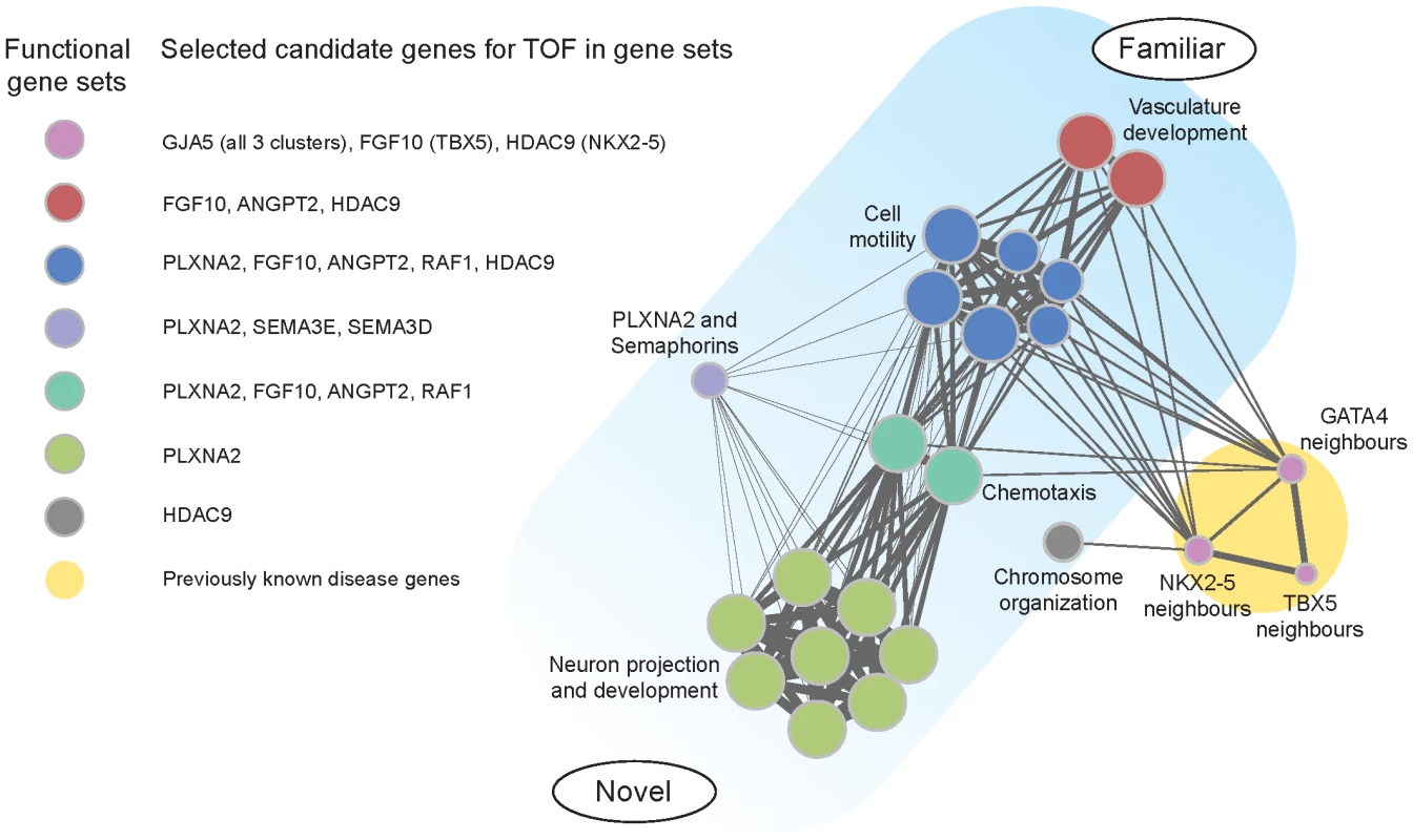 Functional clusters of candidate genes for tetralogy of Fallot.