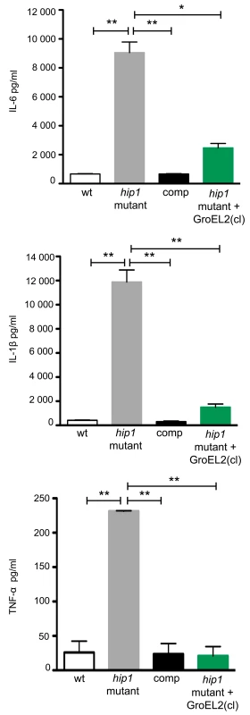 Expression of secreted GroEL2(cl) in <i>hip1</i> mutant restores wild type levels of proinflammatory cytokine responses in macrophages.