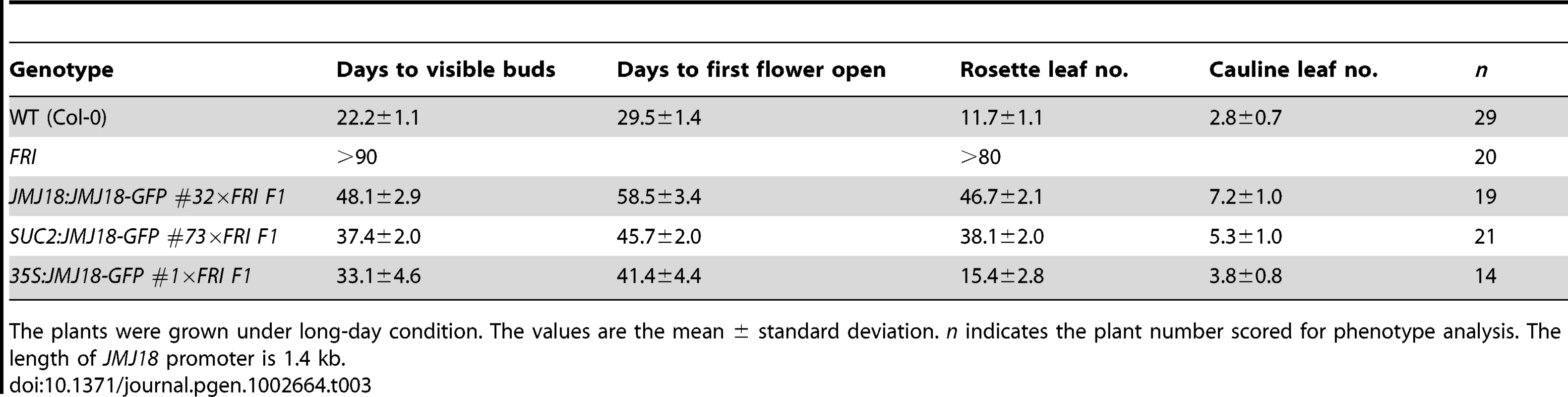 <i>JMJ18</i> overexpression suppresses the <i>FRI</i> late-flowering phenotype.