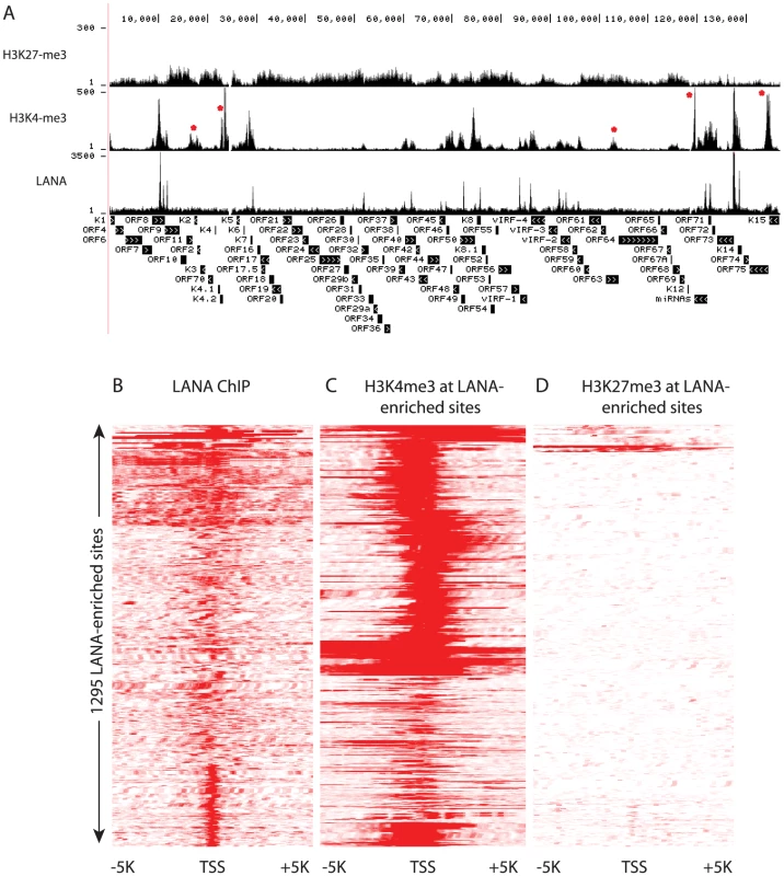 LANA and H3K4me3 but not H3K27 overlap at many regions of the KSHV and human genome in BCBL-1 cells.