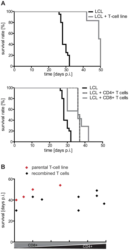 Analysis of the tumor-protective efficacy of CD4+ and CD8+ T cells <i>in vivo</i>.