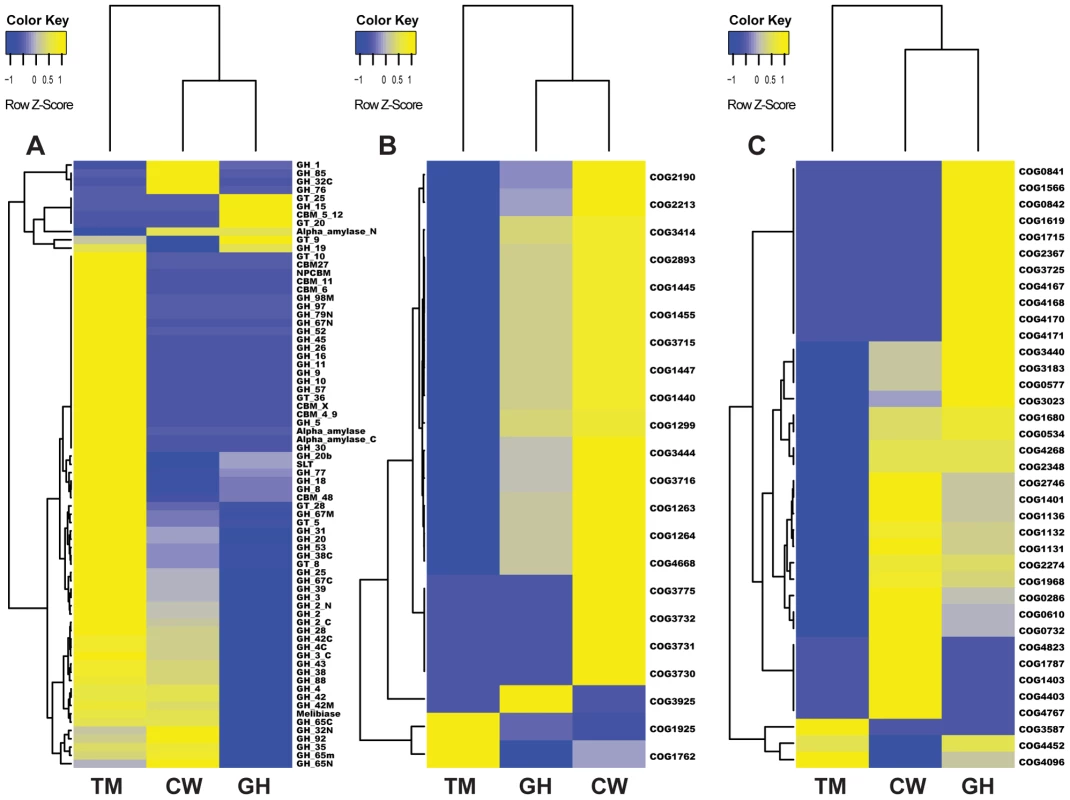 Cluster analysis of genes in three metabolic pathways in the gut microbiomes of grasshopper (GH), cutworm (CW), and termite (TM).