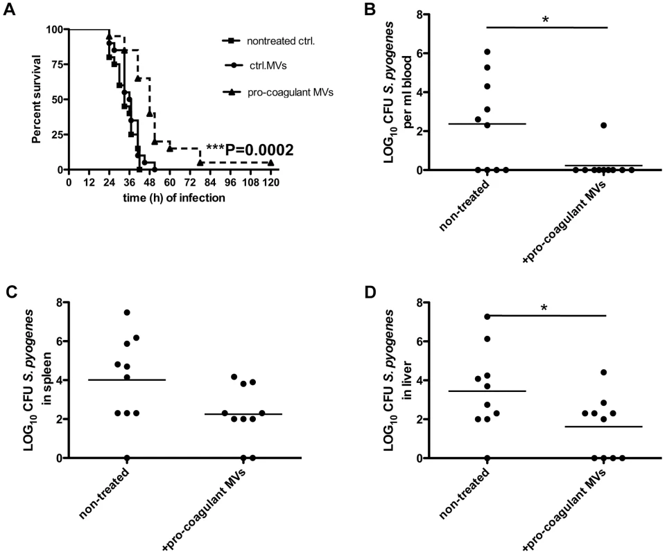 Treatment with pro-coagulant MVs in a mouse model of <i>S.</i> <i>pyogenes</i> sepsis dampens bacterial dissemination and improves survival.