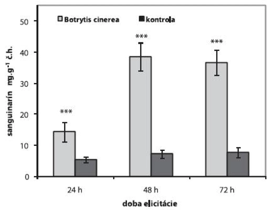 Obsah sanguinarínu v suspenzných kultúrach maku siateho po elicitácii 1 ml homogenátu Botrytis cinerea (n = 5,***p &lt; 0,001)