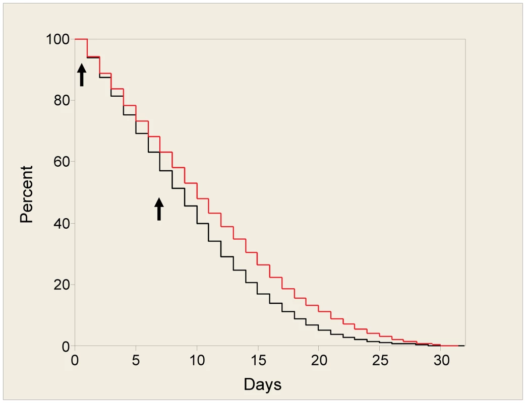Survival plot for mosquitoes fed with TP10 dimer.