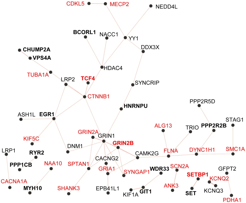 Physical protein-protein interaction network generated by GeneMANIA (<a href=&quot;http://www.GeneMANIA.org/&quot;>http://www.GeneMANIA.org/</a>; Gene Ontology molecular function based weighting).