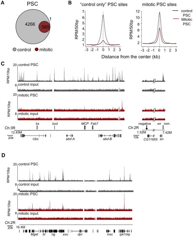 Genome-wide analysis reveals PSC is retained at specific sites on mitotic chromosomes.