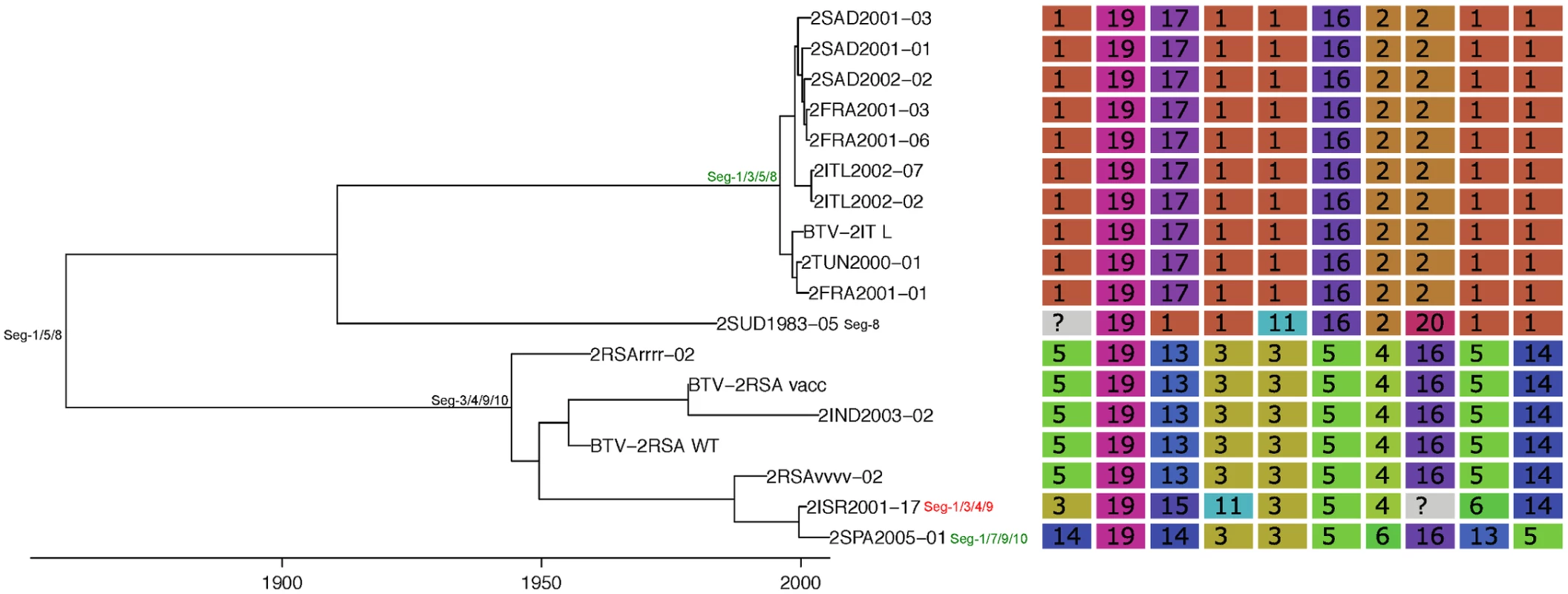 Time-scaled Seg-2 phylogeny of European BTV-2(w) isolates.