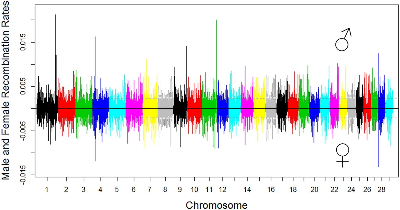 Genome-wide distribution of male and female recombination rates in SNP intervals of each chromosome.